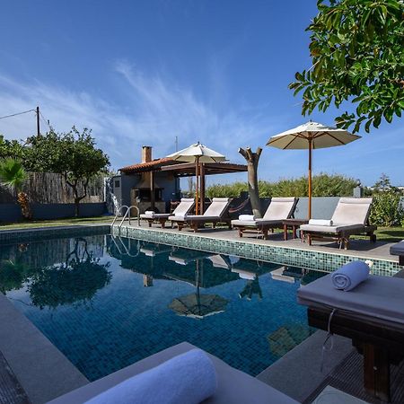 Platanias Villa Spyros Eksteriør billede